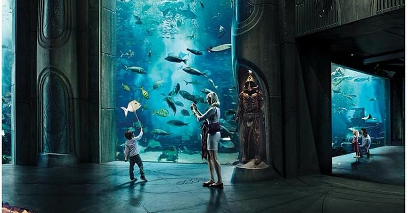 Explore DubaiâS Lost Chambers Aquarium: Tickets For One, Two, Or Four Dubai - Image 14